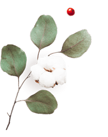 images/floating_image_06.png