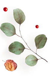 images/floating_image_10.png