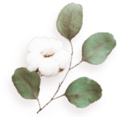 images/floating_image_11.png