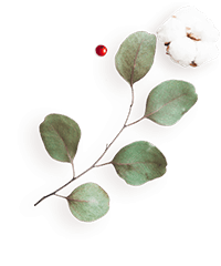 images/floating_image_flower_04.png